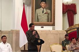 Presiden Jokowi Minta Mitigasi dan Edukasi Bencana Dilakukan Sejak Dini