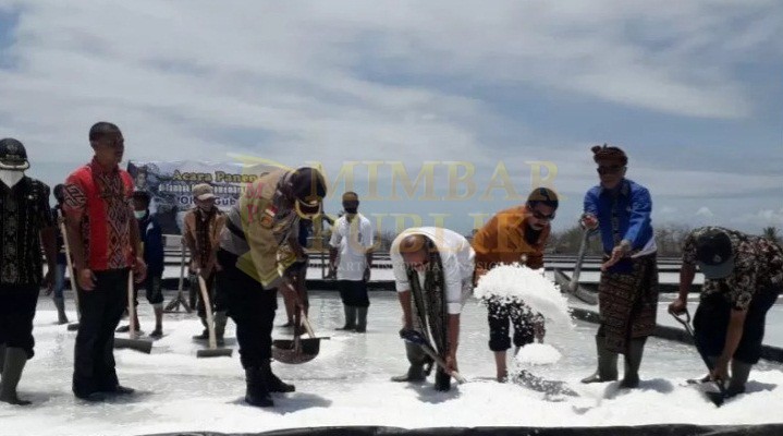 Tak Ada Pembeli, Ribuan Ton Garam di NTT Menumpuk