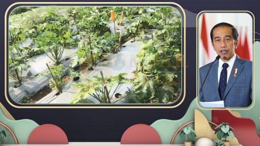 Presiden Jokowi: Menjadi Petani Itu Mulia