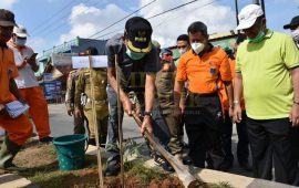 Achmad Pairin Pimpin Gerakan Hari Menanam Pohon Indonesia (HMPI) di Median Jalan