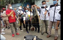 Puluhan Relawan Covid Mundur, Protes BNPB Bagikan Masker ke Rizieq