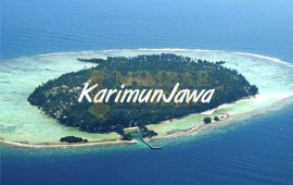 3 Tahun Menunggu, Akhirnya Pulau Karimunjawa Masuk Cagar Biosfer Baru UNESCO