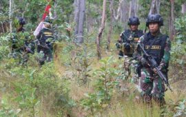 Prajurit TNI Gugur Dalam Kontak Tembak dengan KKB di Papua