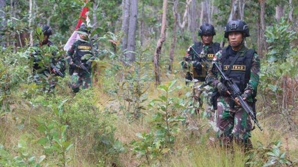 Prajurit TNI Gugur Dalam Kontak Tembak dengan KKB di Papua