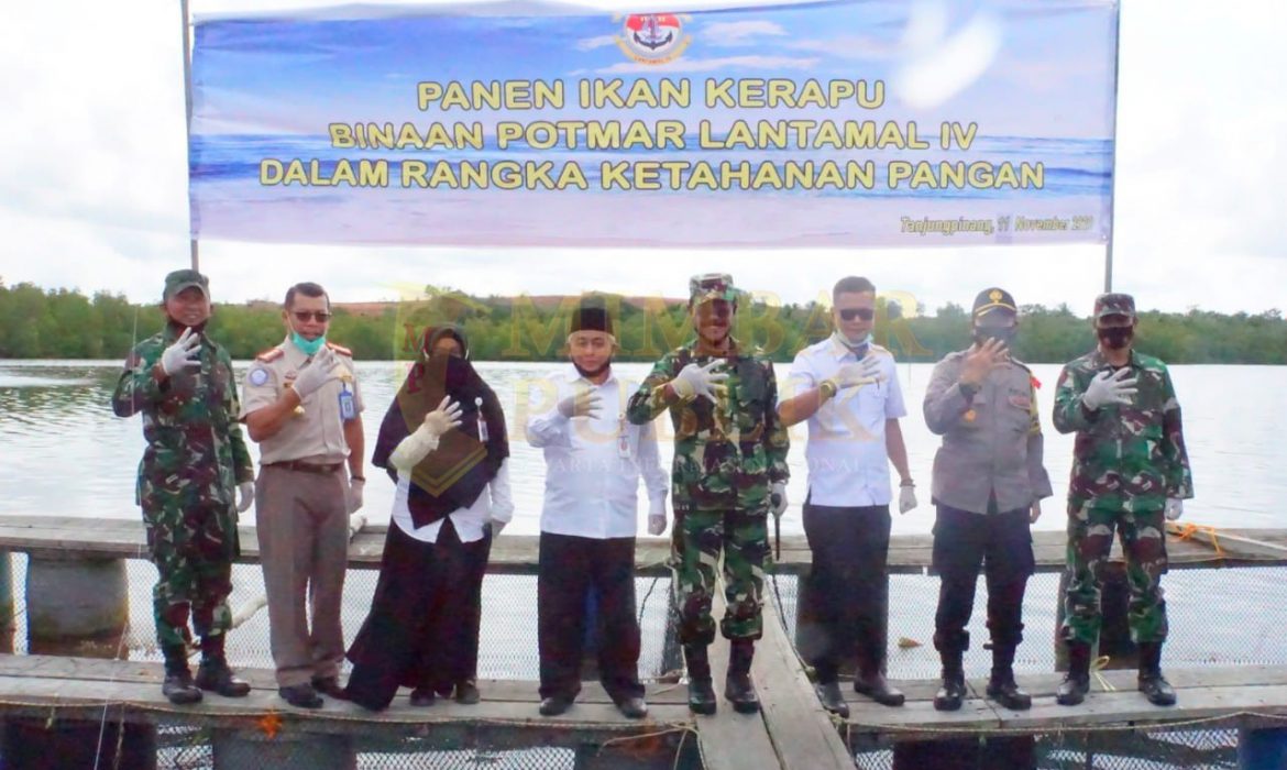 Lantamal IV Tanjungpinang Gelar Panen Raya Ikan Kerapu Keramba Jaring Apung
