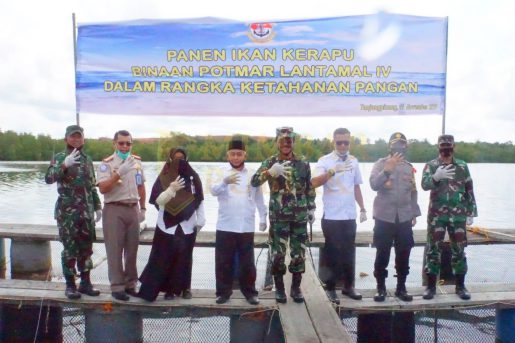 Lantamal IV Tanjungpinang Gelar Panen Raya Ikan Kerapu Keramba Jaring Apung