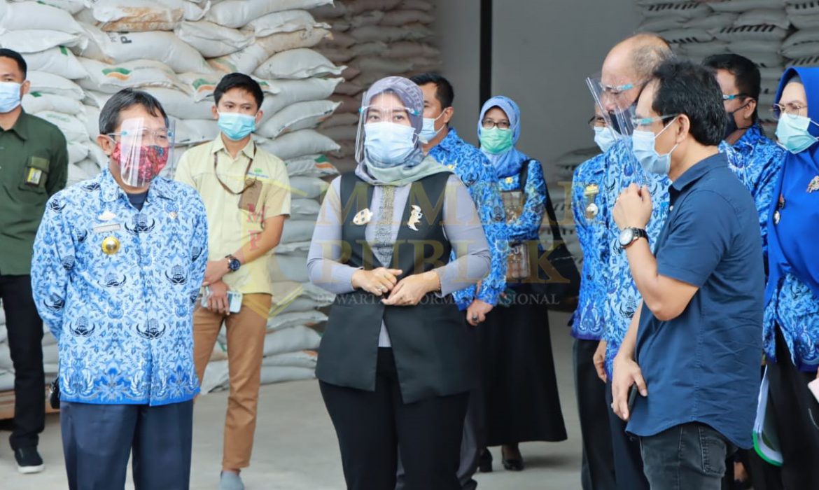 Wagub Chusnunia Tinjau Ketersediaan Pupuk dan Pestisida di Lampung Timur