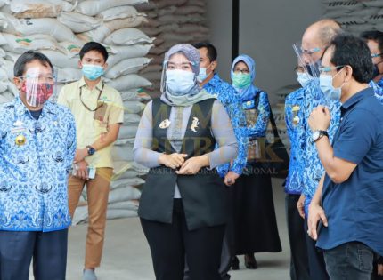 Wagub Chusnunia Tinjau Ketersediaan Pupuk dan Pestisida di Lampung Timur