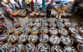 Petugas KKP Ringkus Tiga Penangkap Ikan Gunakan  Racun di Morowali Sulteng