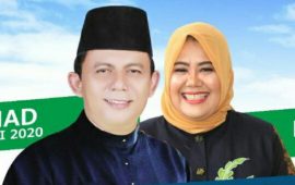 Ansar-Marlin Berjaya di Kepri, Rudi-Amsakar Menang di Kota Batam