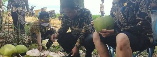 Bupati Mesuji H Saply TH Pastikan Harga Gabah Menjelang Panen Tetap Stabil