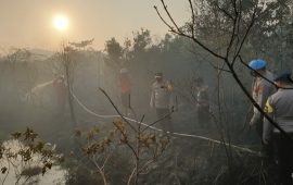Pemadaman Kebakaran Hutan dan Lahan di Pulau Galang Dipimpin Kapolda Kepri