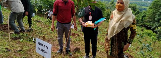Wakil Bupati Maros Hj Suhartina Dalam Penanam Pohon Dikegiatan Rimbawan Ke 38 Tahun di Kecamatan Tompobulu Kabupaten Maros