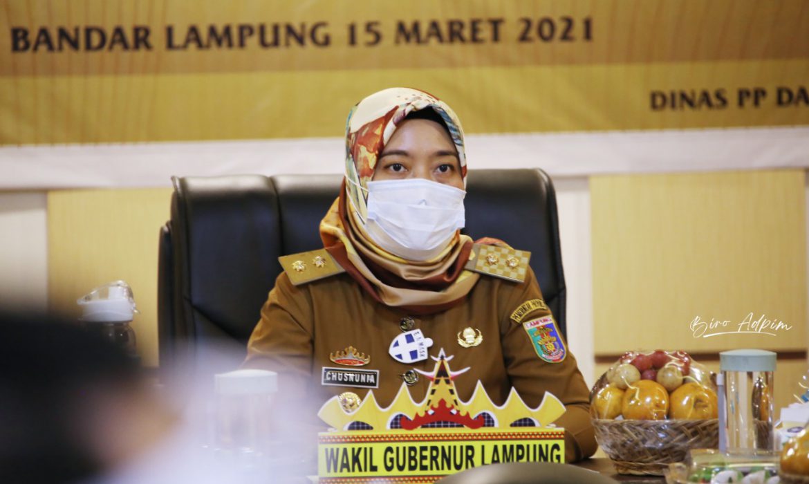 Wagub Chusnunia Dorong Jajaran di Pemprov dan Kabupaten/Kota Kembali Meraih Penghargaan Anugerah Parahita Ekapraya Tahun 2021