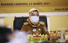 Wagub Chusnunia Dorong Jajaran di Pemprov dan Kabupaten/Kota Kembali Meraih Penghargaan Anugerah Parahita Ekapraya Tahun 2021