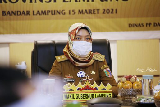 Wagub Chusnunia Dorong Jajaran di Pemprov dan Kabupaten/Kota Kembali Meraih Penghargaan Anugerah Parahita Ekapraya Tahun 2021