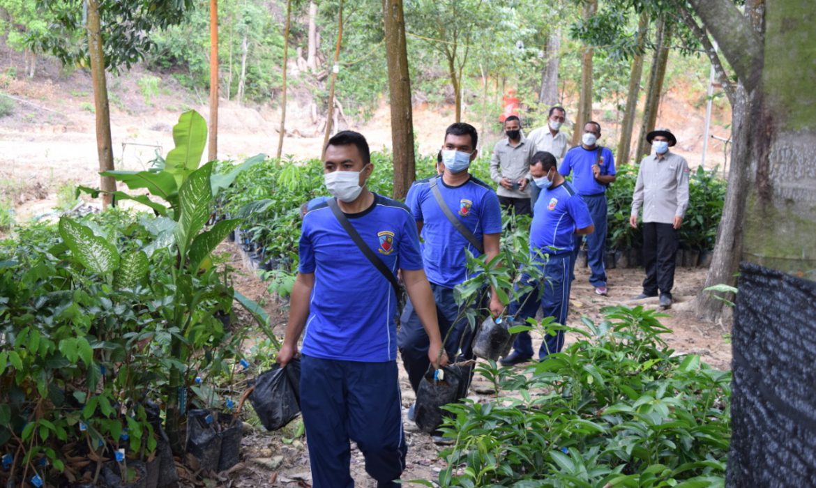 Lanud Hang Nadim Batam akan Tanam 5000 Bibit Pohon di Kawasan Bukit Gendang