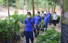 Lanud Hang Nadim Batam akan Tanam 5000 Bibit Pohon di Kawasan Bukit Gendang