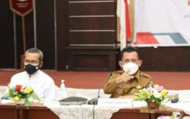 Gubernur Kepulauan Riau Mengatakan Kabupaten Karimun Sudah Ditetapkan Pemerintah Pusat sebagai Pusat Perdagangan Bebas