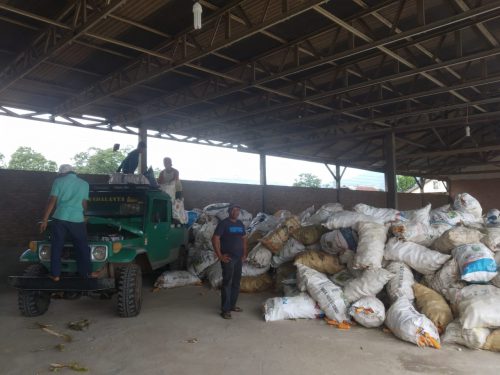 Adanya Harga Jual Jagung di Tigabinanga