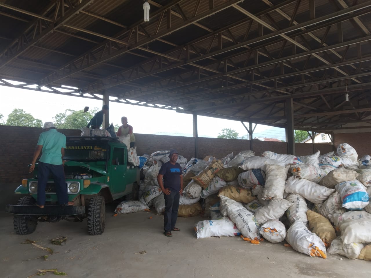 Adanya Harga Jual Jagung Di Tigabinanga