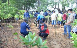 Lanud Hang Nadim Tanam 5 Ribu Bibit Manggrove di Pantai Terih Nongsa Batam