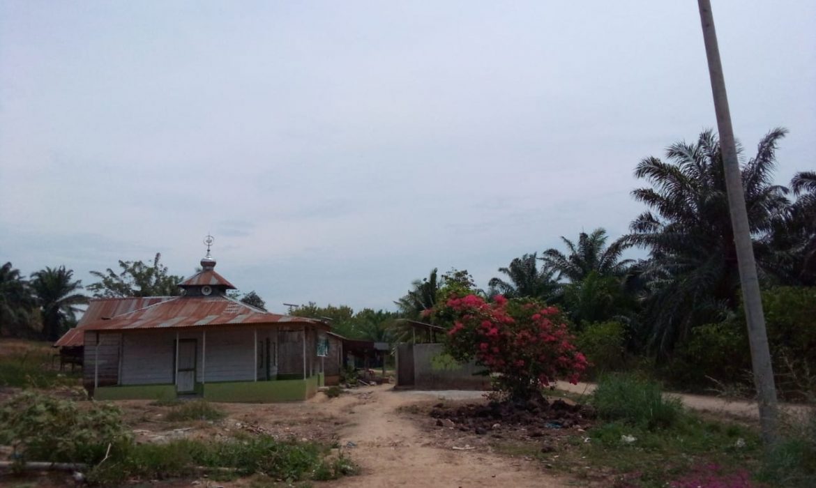 Desa Sidodadi Tidak Merasakan Fasilitas Penerangan Aliran Listrik Dari PLN