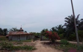 Desa Sidodadi Tidak Merasakan Fasilitas Penerangan Aliran Listrik Dari PLN