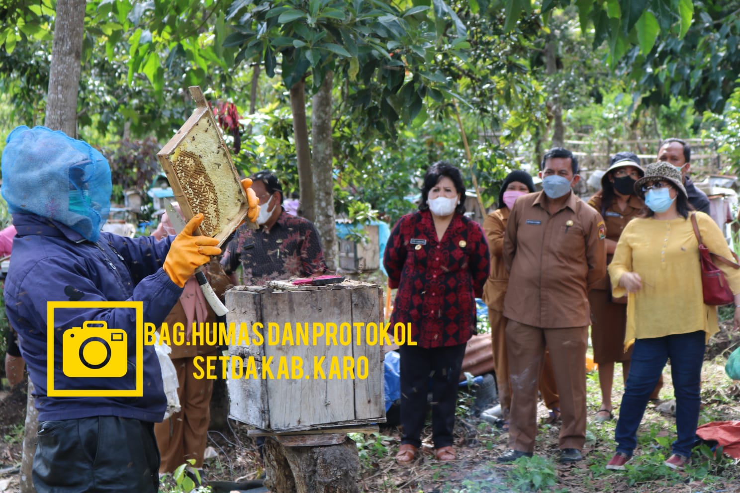 Bupati Karo Panen Madu di Desa Selandi