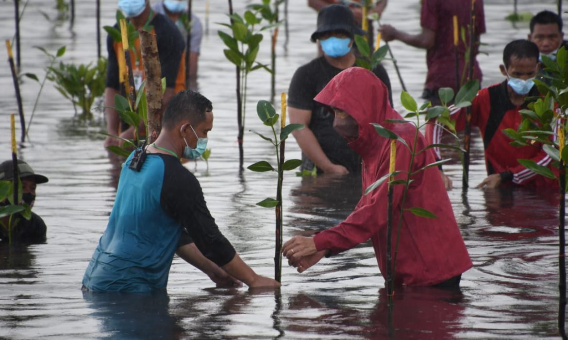 Presiden Jokowi Basah-basahan Tanam Mangrove di Pantai Setokok Batam