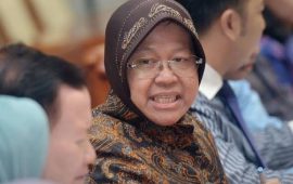 Mensos Risma Berkantor di Papua, Siapkan Program Pemberdayaan