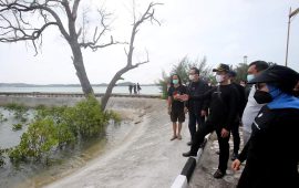 Hari Bakti ke-76 PUPR, Pemko Batam Tanam Bibit Pohon di Pulau Putri