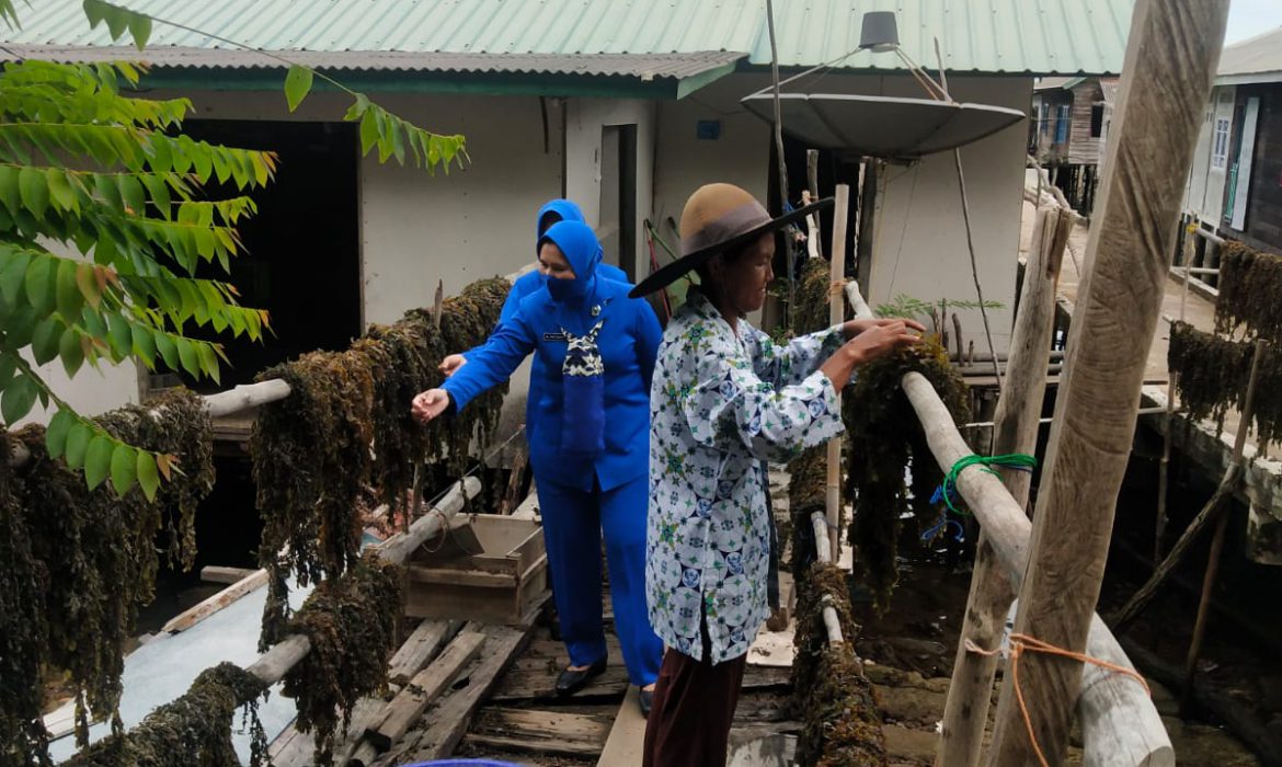 Danlanal Batam Lepas Pengiriman Rumput Laut