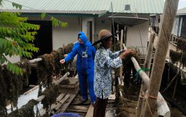 Danlanal Batam Lepas Pengiriman Rumput Laut