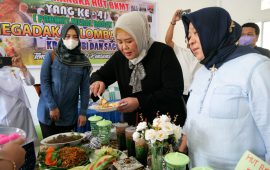 Dorong Ibu-ibu Berkreasi, Wagub Marlin Buka Lomba Kreasi Ubi dan Sagu di Karimun