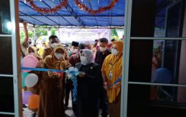 Posyandu Ananda Kelurahan Tanjungpinang Barat Diresmikan, Walikota Rahma: Kita Jaga dan Rawat Bersama