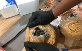 Tim Cyber Crawling Bea Cukai Batam Kembali Gagalkan Penyeludupan 765 Gram Ganja