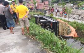 Ban Pecah, Mobil Pick Up Muatan Buah Nanas Terperosok ke Dalam Parit