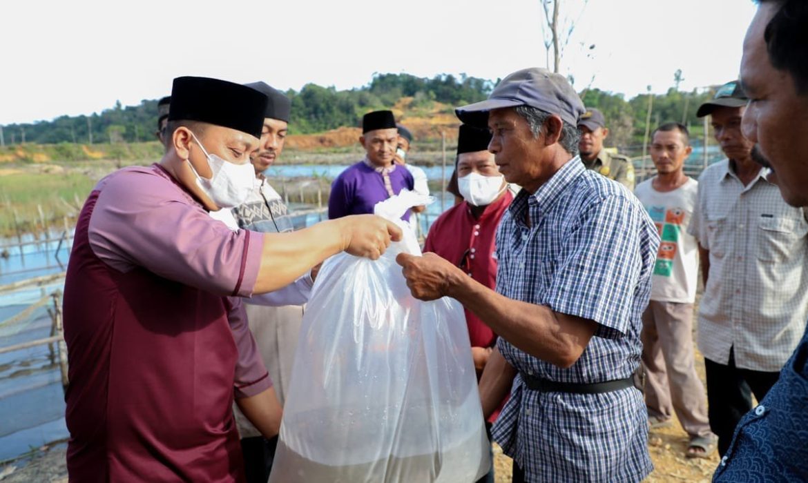 Sampai April 2022, Sebanyak 17.000 Benih Nila Telah Didistribusikan BBI