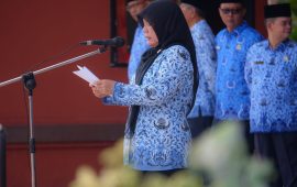 Pemkab Bintan Peringati Hari Kebangkitan Nasional ke-114