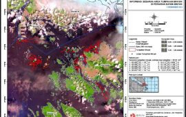 Bakamla Serahkan Data Satelit ke KLHK soal Tumpahan Oli Kotor di Laut Batam