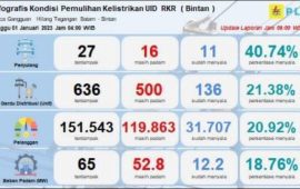 Tahun Baru 2023, Listrik Padam Belasan Jam di Batam, Bintan dan Tanjungpinang