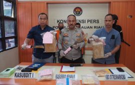 Ditresnarkoba Polda Kepri Ungkap Kasus Penemuan Narkotika Jenis Kokain Di Kabupaten Kepulauan Anambas