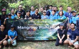 ASCOTT INDONESIA RAYAKAN HARI MANGROVE SEDUNIA DENGAN KEGIATAN KEBERLANJUTAN UNTUK LINGKUNGAN