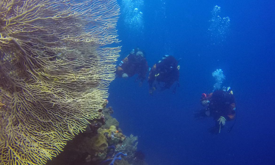 PUWSI himbau operator Scuba Diving Berikan Pelayanan Berkualitas dan Peduli Keselamatan