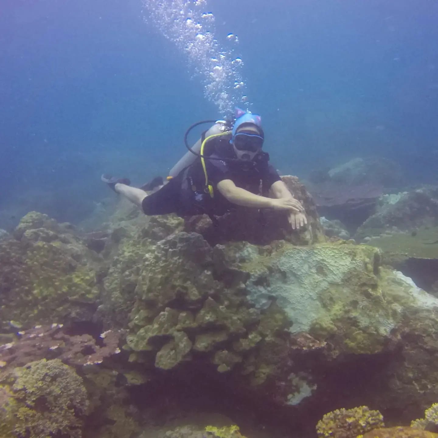 Umi Khulsum Ph.D, menyelam di Pulau Tenggol, Malaysia (foto:hendrata)